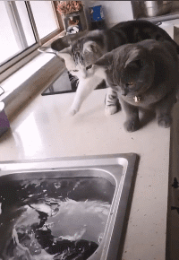 |搞笑GIF:绿茵场上的运动员,每一个人都是影帝