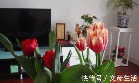 身体|卧室里万万别养这“2类花”,难怪身体会差,懂花的人都避开