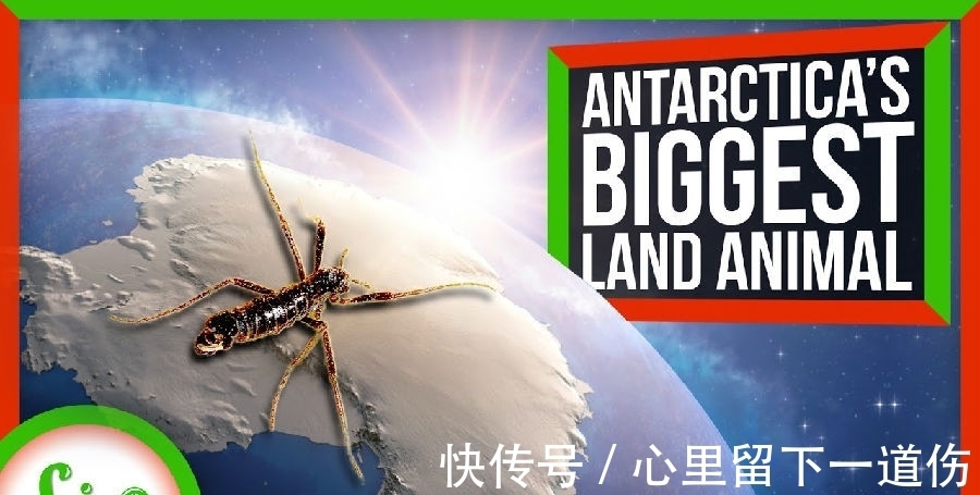 知识|趣味冷知识分享（三十二）快来一起涨知识！