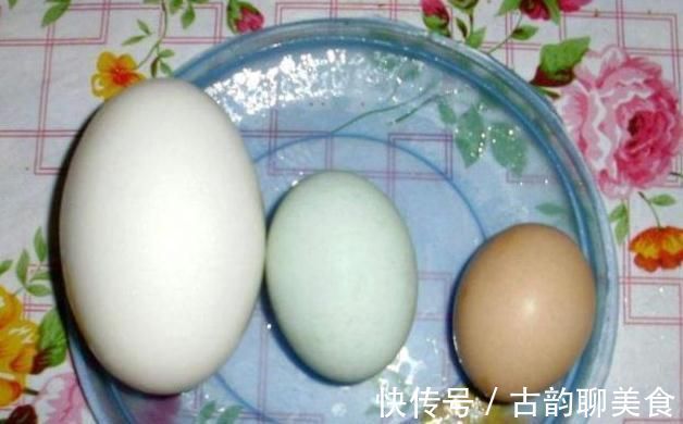 怀孕|孕期吃鹅蛋有用吗?若你还没到怀孕8个月,看完或许更受益!