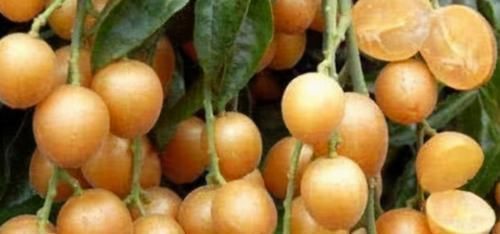 土豆|女性到了中年,推荐常吃3种食物,滋补肝脏,疏通血管,增强体质