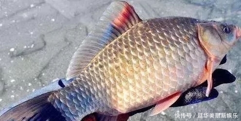 朋友|致每一位爱钓鱼的朋友!