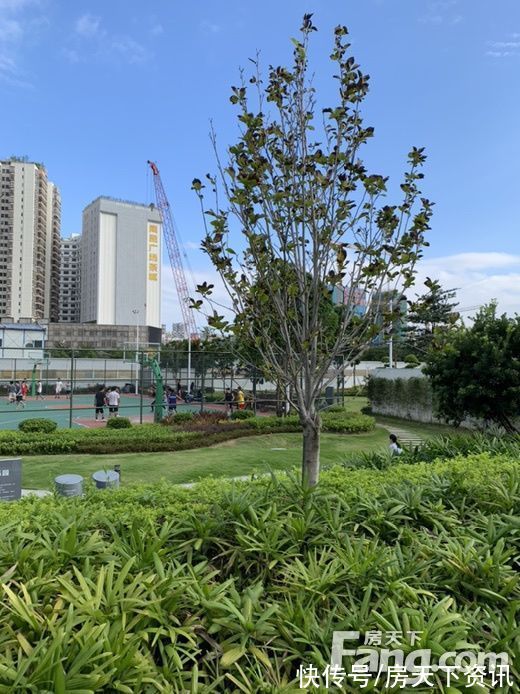 楼盘|想看深圳龙华区楼盘的最新现场实景，选房一定要看