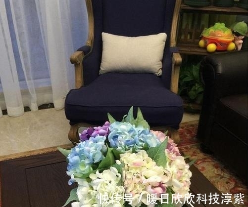 墙画|以后有房了,我也想装这样的简美风,全屋真漂亮,挑不出一点毛病