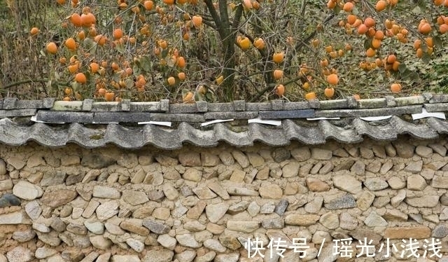 院子里种这3种树,寓意深远,吉祥旺宅,来看看