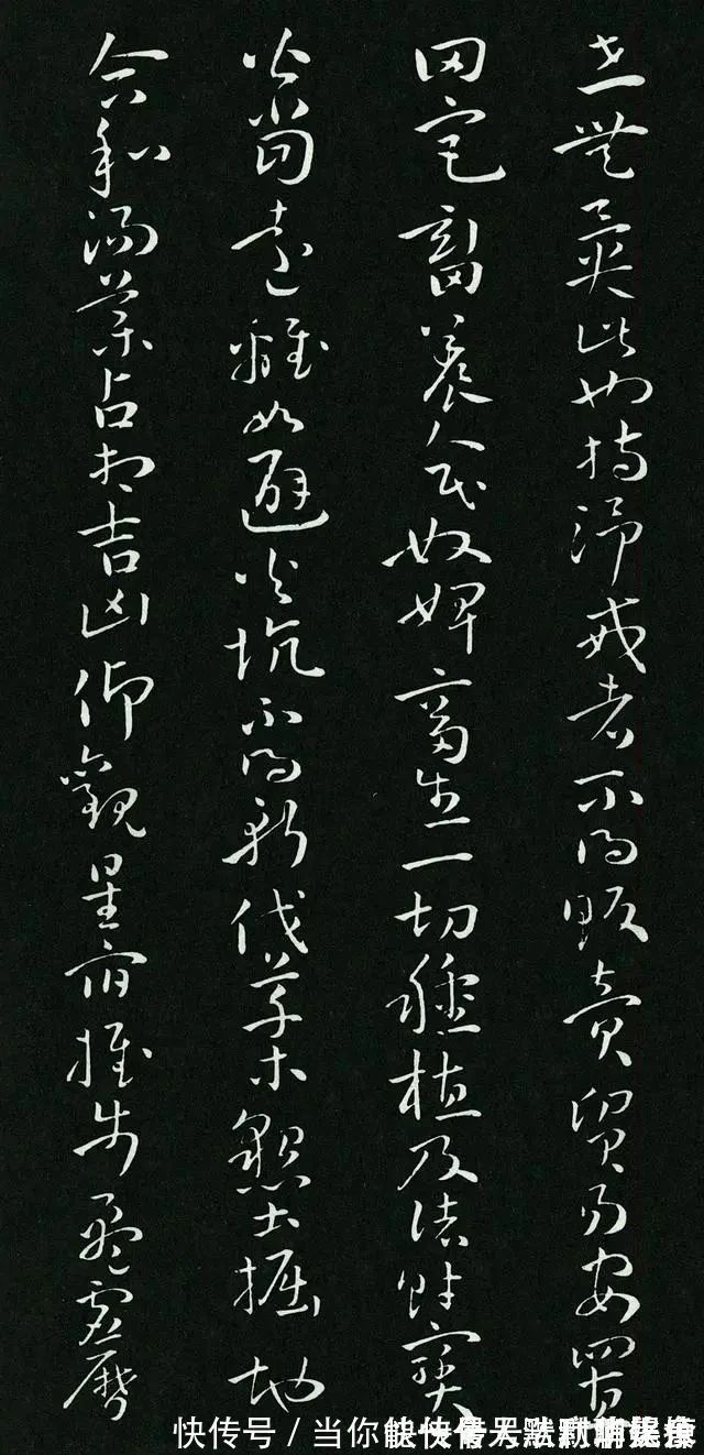 孙承泽！唐朝一幅罕见草书问世，这字超过了张旭与怀素，让人眼界大开！