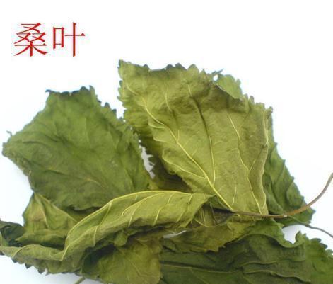 桑叶泡水|桑叶泡水喝能带来哪些好处?这5个好处或会不请自来