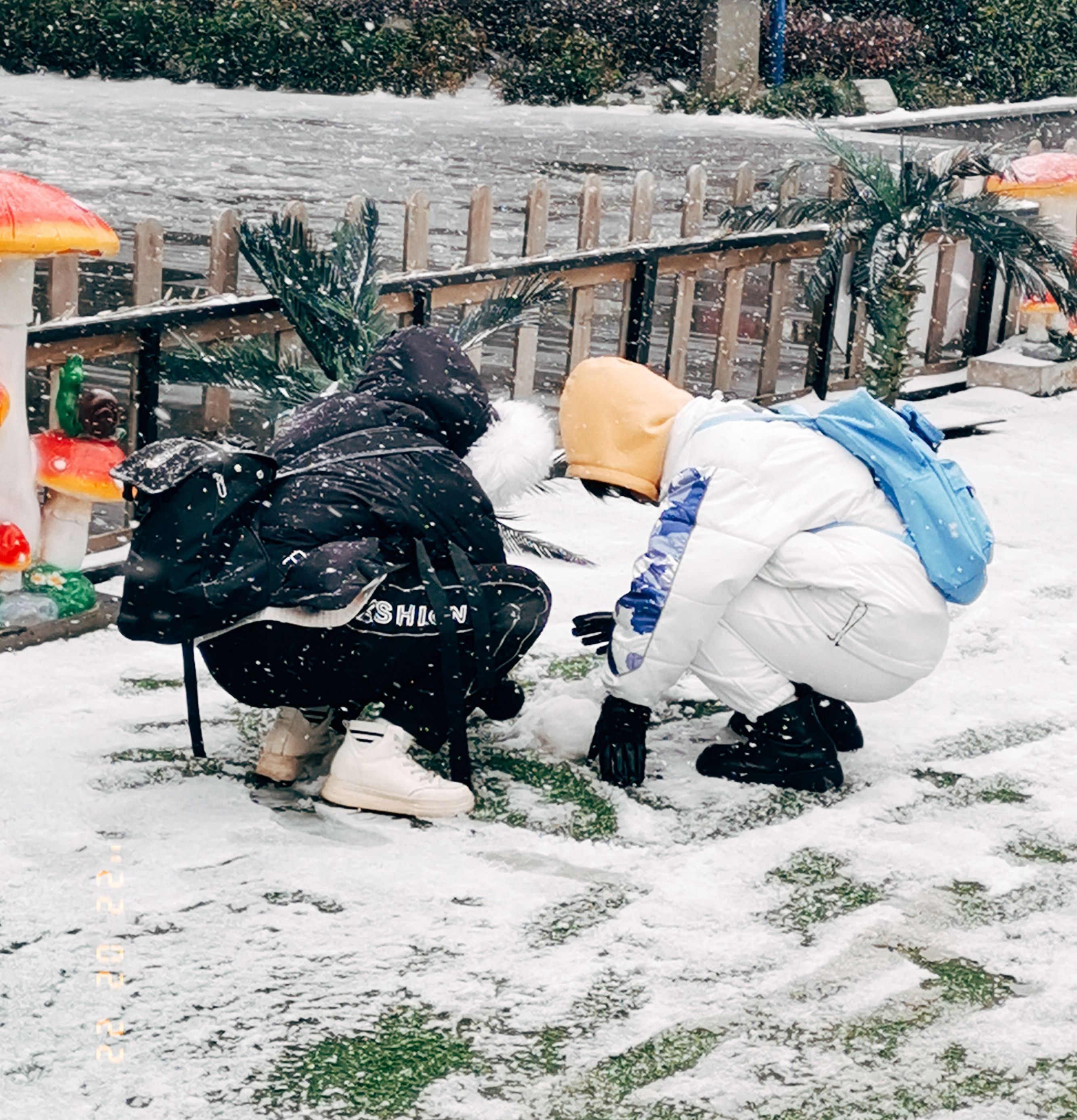 昆明|春城昆明市民朋友圈秀雪景，当地已启动冰冻灾害Ⅲ级响应