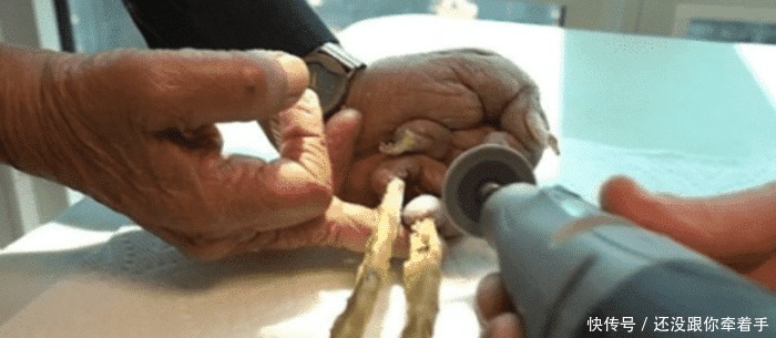 大爷|大爷留了44年的长指甲,捐给了博物馆,不料指甲被剪后发生意外