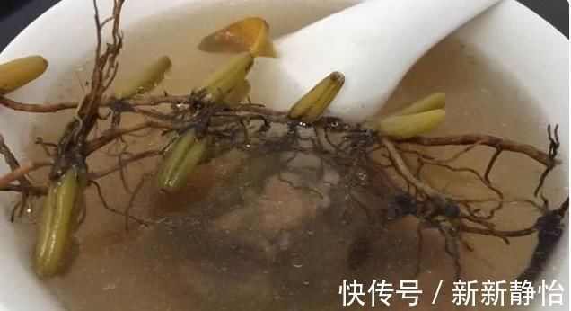 岩珠|一株就两片叶子,中间还夹颗珠子,价值极高,别当杂草