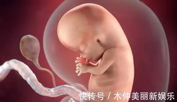 营养均衡|十月怀胎,胎儿啥时候开始“长肉”?早知道早准备,别拖胎儿后腿