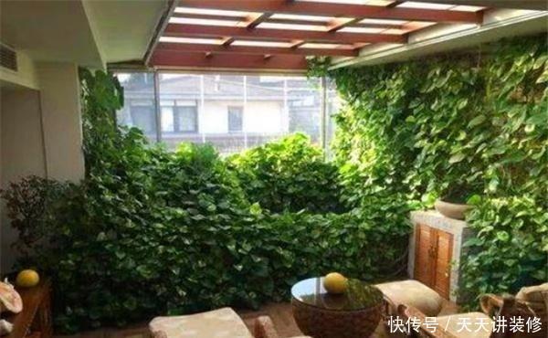 爆盆|户外捡3种东西,养花肥沃、透气,1-2年不施肥,花卉轻松爆盆