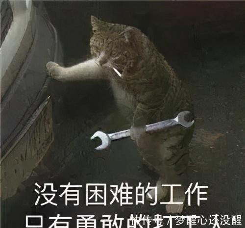 姐姐|打工人爆火后,姐姐们又互撕了?