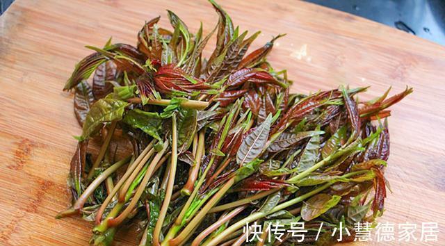 香椿炒鸡蛋|香椿焯水引争议,到底需不需要焯水呢?大厨来告诉你,可别做错了