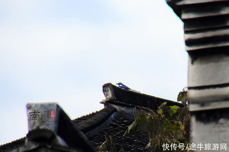 小莲庄 这样的南浔是你眼中的江南吗