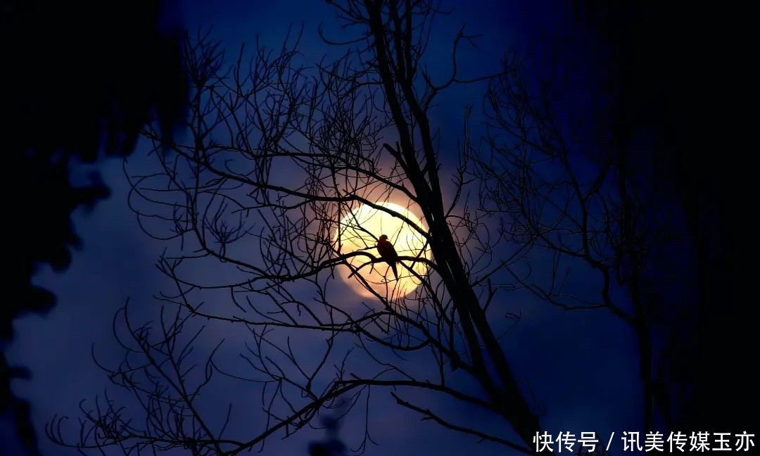 天文 5月26日!月全食遇上“超级月亮” ,罕见天文奇观不容错过!