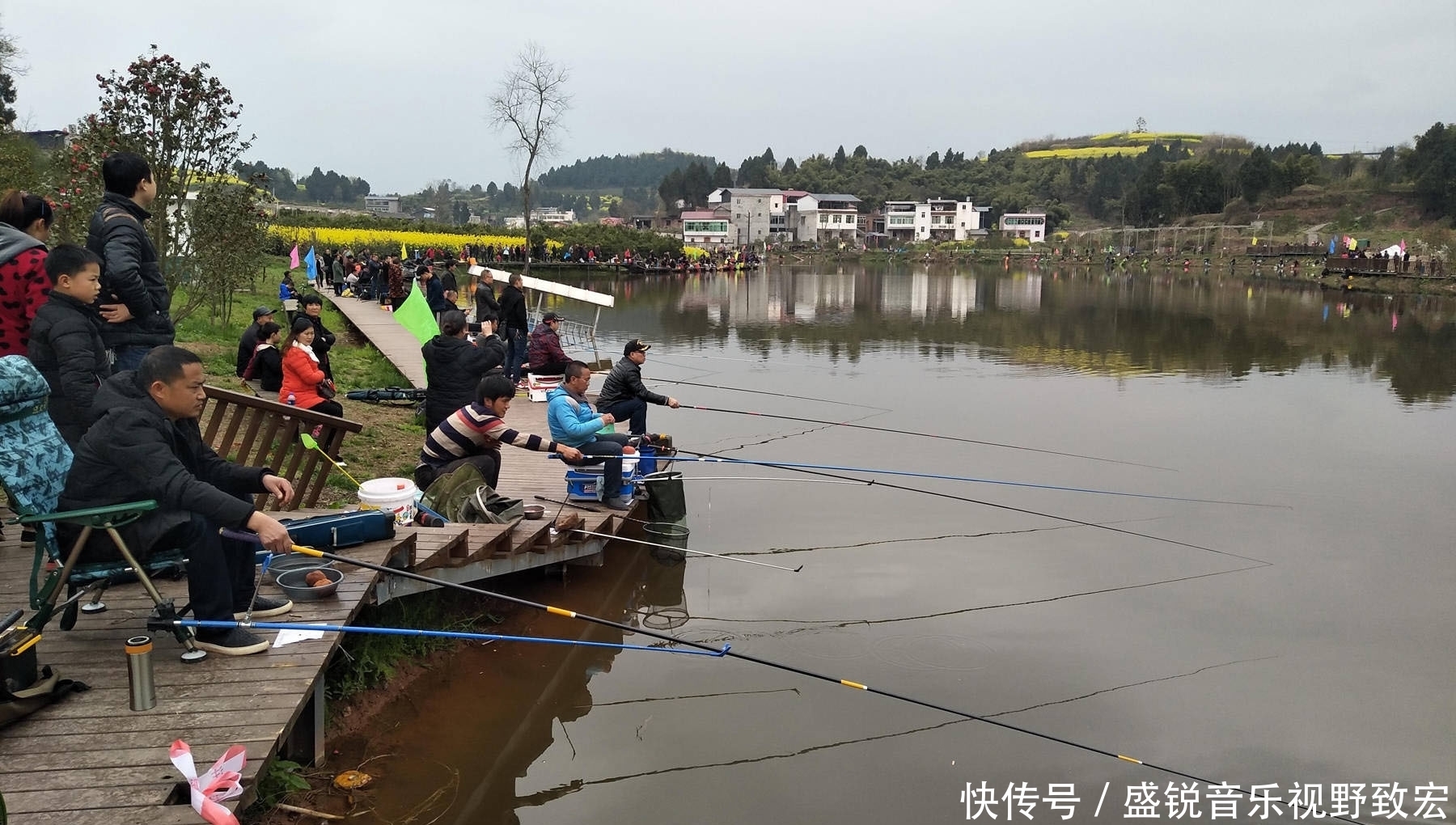 坑冠|这个钓鲤鱼配方的效果为什么特别好?一个钓鲤鱼有奇效的饵料配方