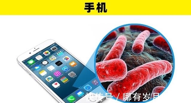 很多人从未意识到,拥有大量细菌的10个家居用品