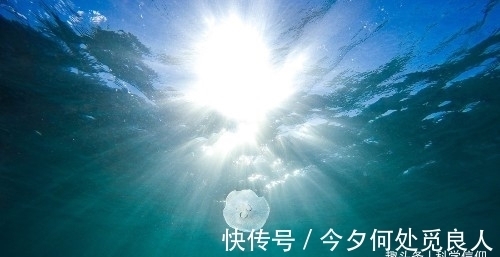 光速恒定不变,可她为何能将光速降为0,光速