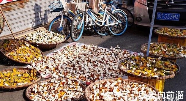 血块儿|秋季宜化痰!陈皮和它搭配!这样喝,化痰理气、养肝排毒、养脾胃