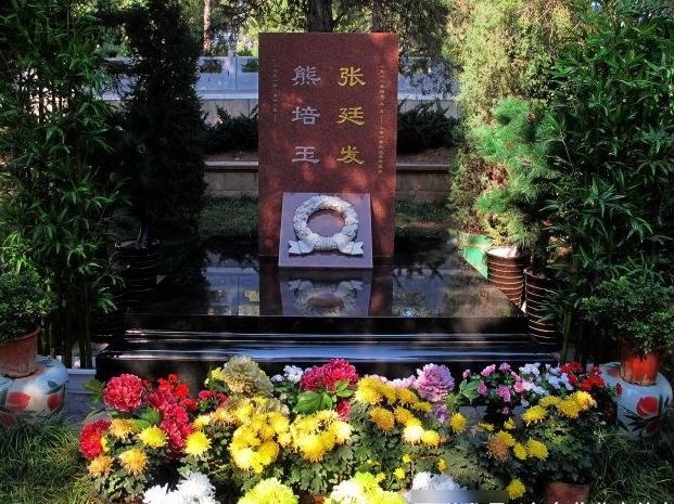 张廷发墓,曾任空军司令员,官至副国级,儿子是空军副司令,中将军衔