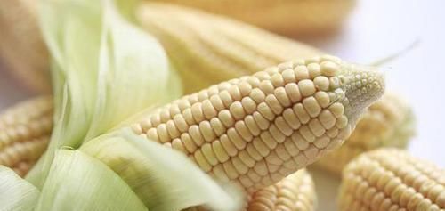 血管“清洁工”已找到,不是洋葱木耳,而是它,血栓或能不告而别