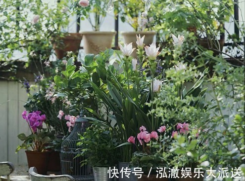 温度过高|客厅2个地方,千万别养花,不能忽视,养了也尽快搬走!