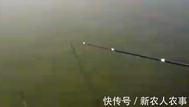 钓鱼届的扛把子,江苏男子带父亲硬核垂钓,网友:邓刚也要让三分