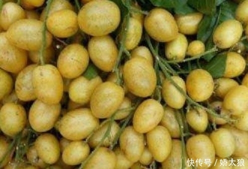 止咳王被发现了,常吃此果,让你摆脱咳嗽烦恼