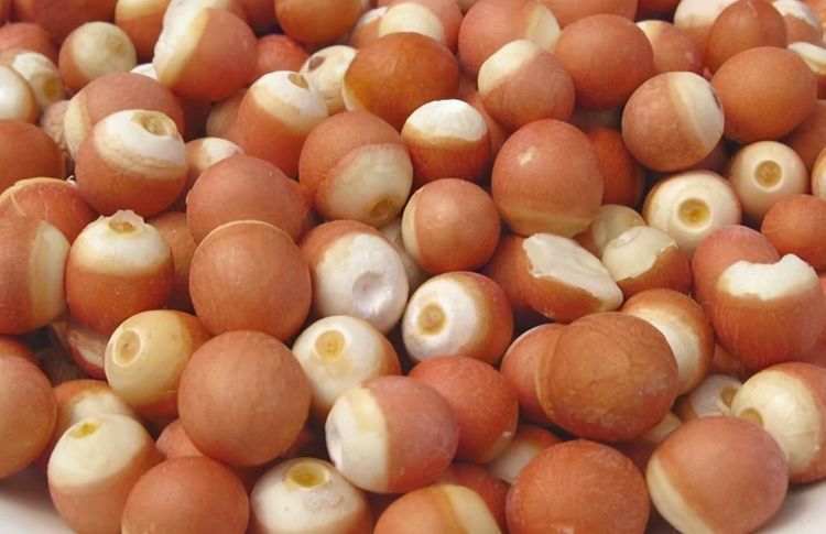 肾益精|超市很常见的3种食物,要学会吃一些,补充营养、有益健康!