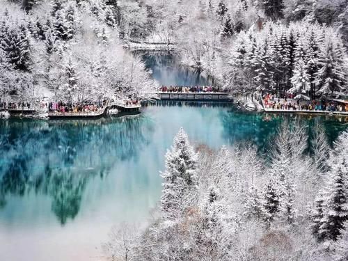 九寨沟|雪后的四川真美，恍若人间仙境，推荐四处热门赏雪地