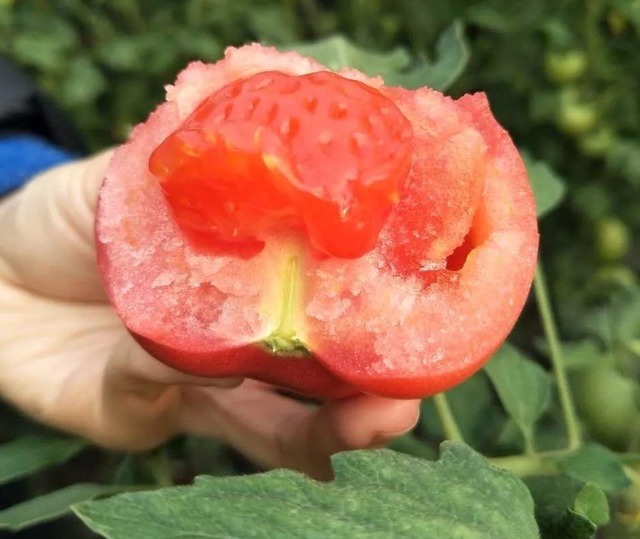 麦芽|孩子积食反复,建议少碰“2红”,多食“2黄”,消化好不积食