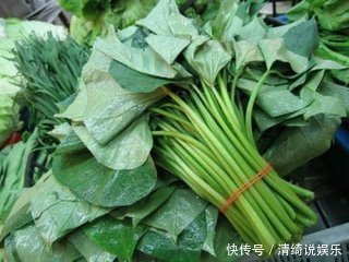 红薯叶|女人不想变老,就经常吃点此蔬菜,强骨补血热量低,还抗衰老