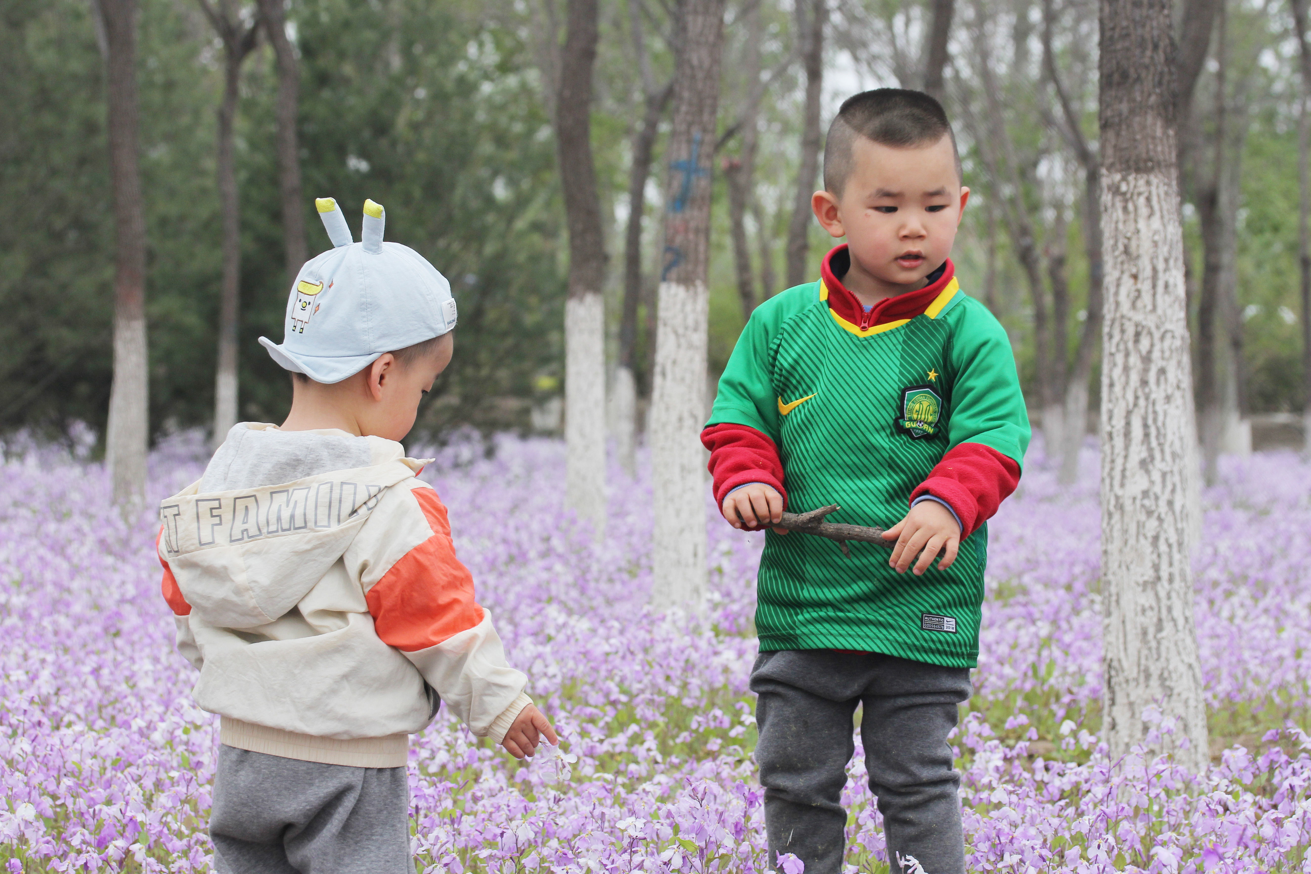 北京小众赏花地，二月兰花海迎客，免费景美，可惜没水