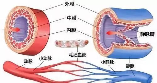  医生|28岁男子突发心梗，取出的血栓吓坏医生，医生：这3种食物别吃了