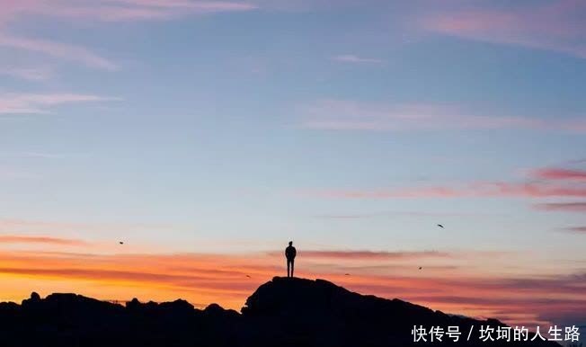 聪明和智慧是两回事(看后大悟)