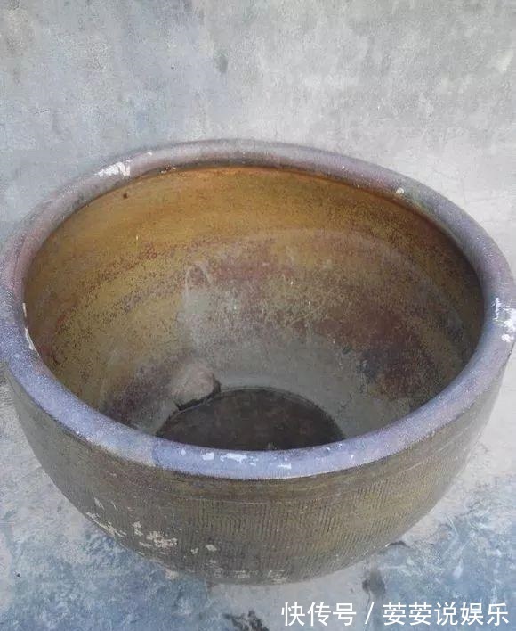 养护|周末回趟老家,捡了这些“老物件”养花,一瞬间高档、文艺