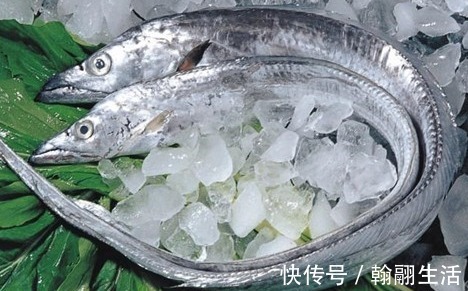 袋装|买带鱼,“袋装”的好还是“散装”的好买错难吃,没营养还浪费