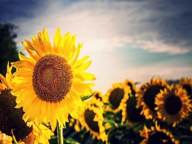 肝功能|10年前查出晚期肝癌,如今已回归正常,患者自述这3点很重要