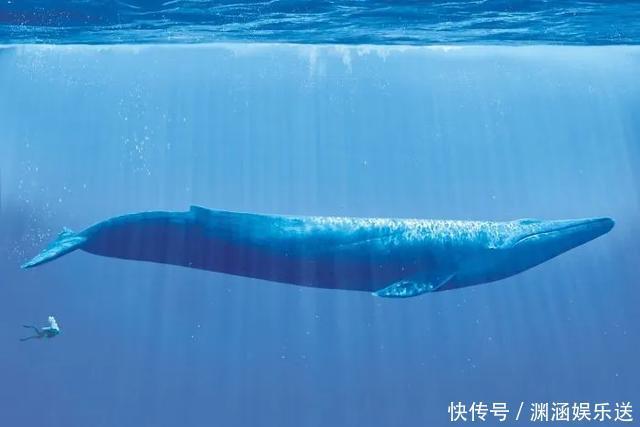 25张不可思议的对比图，你可能一张都没见过！