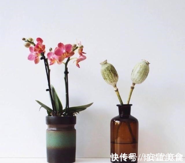 一段话|读懂受益终生的一段话，精辟睿智，值得深思！