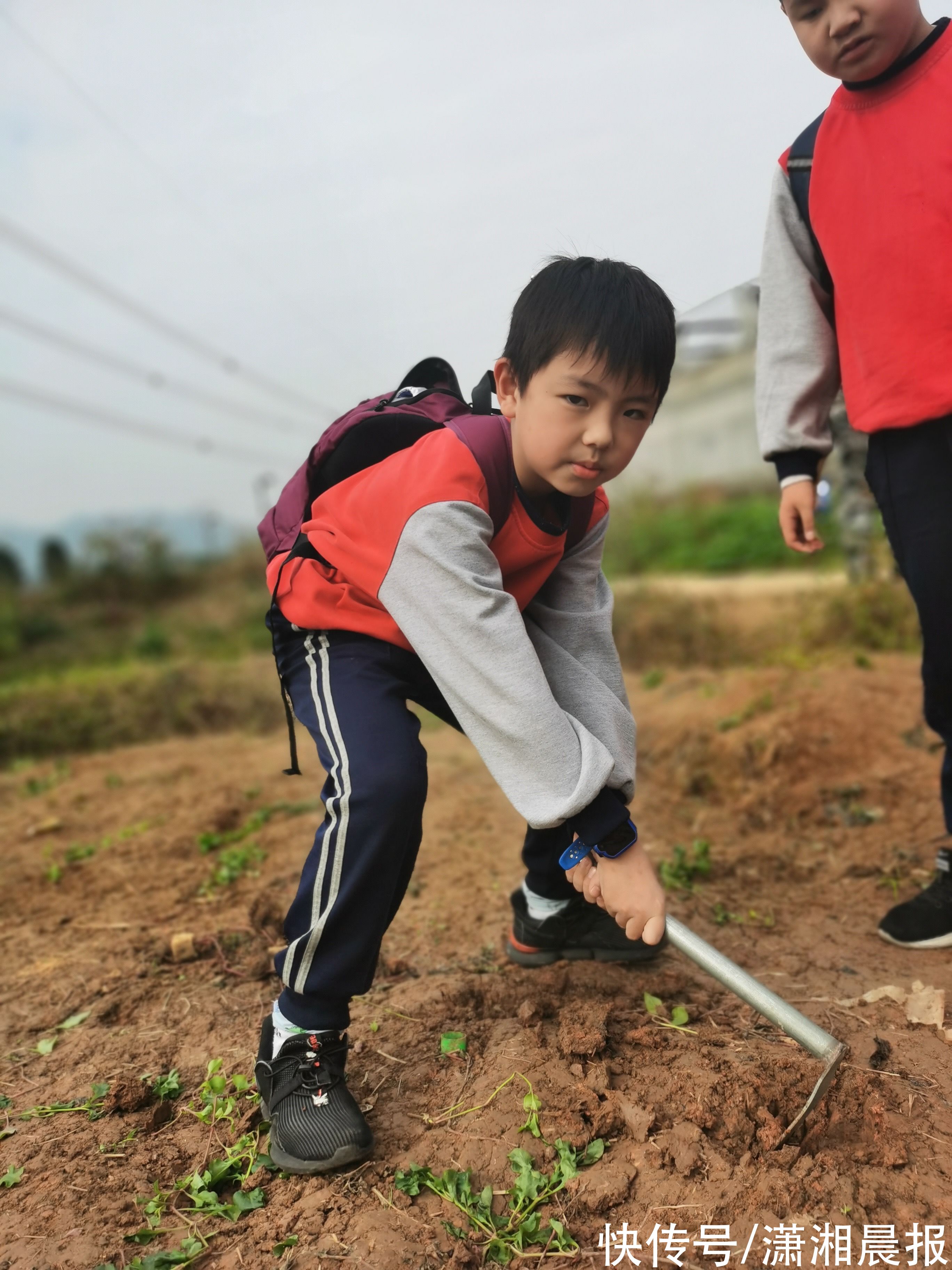 游泳|什么是好学生？湖南这些地方给学生建立多面“自画像”