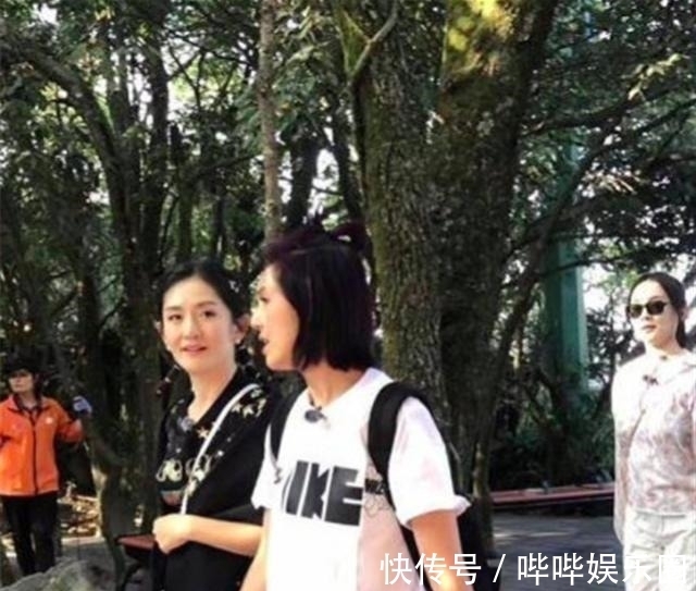 菠萝菠萝蜜|六档综艺节目蓄势待发！谢娜向世人证明主持央视她是够格的