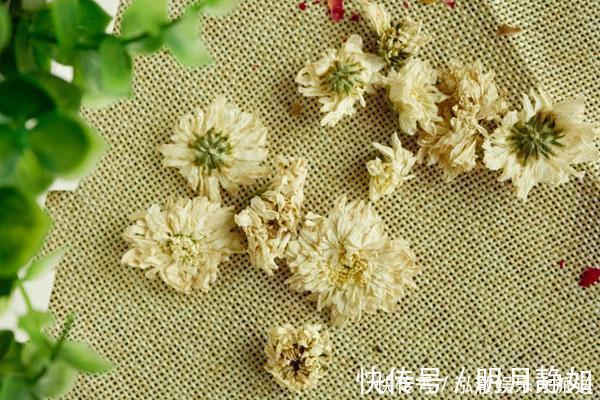 枸杞|枸杞与菊花是“好哥俩”,一起泡茶喝,身体会发生喜人变化