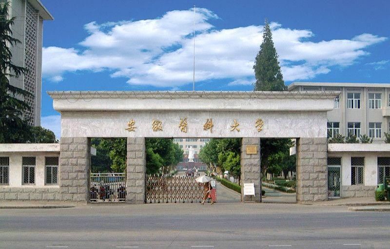 安徽医科大学|这4所省属医科大学，知名度低，学生就业率却高得超乎想象