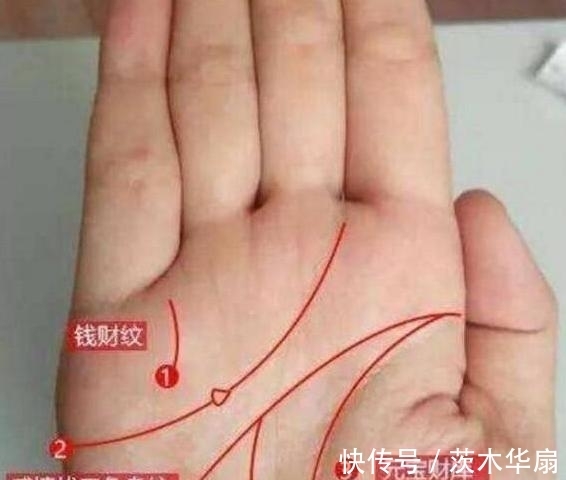 秘密|“掌中三样纹，荣华富贵陈”是什么意思？掌纹中还隐藏着哪些秘密