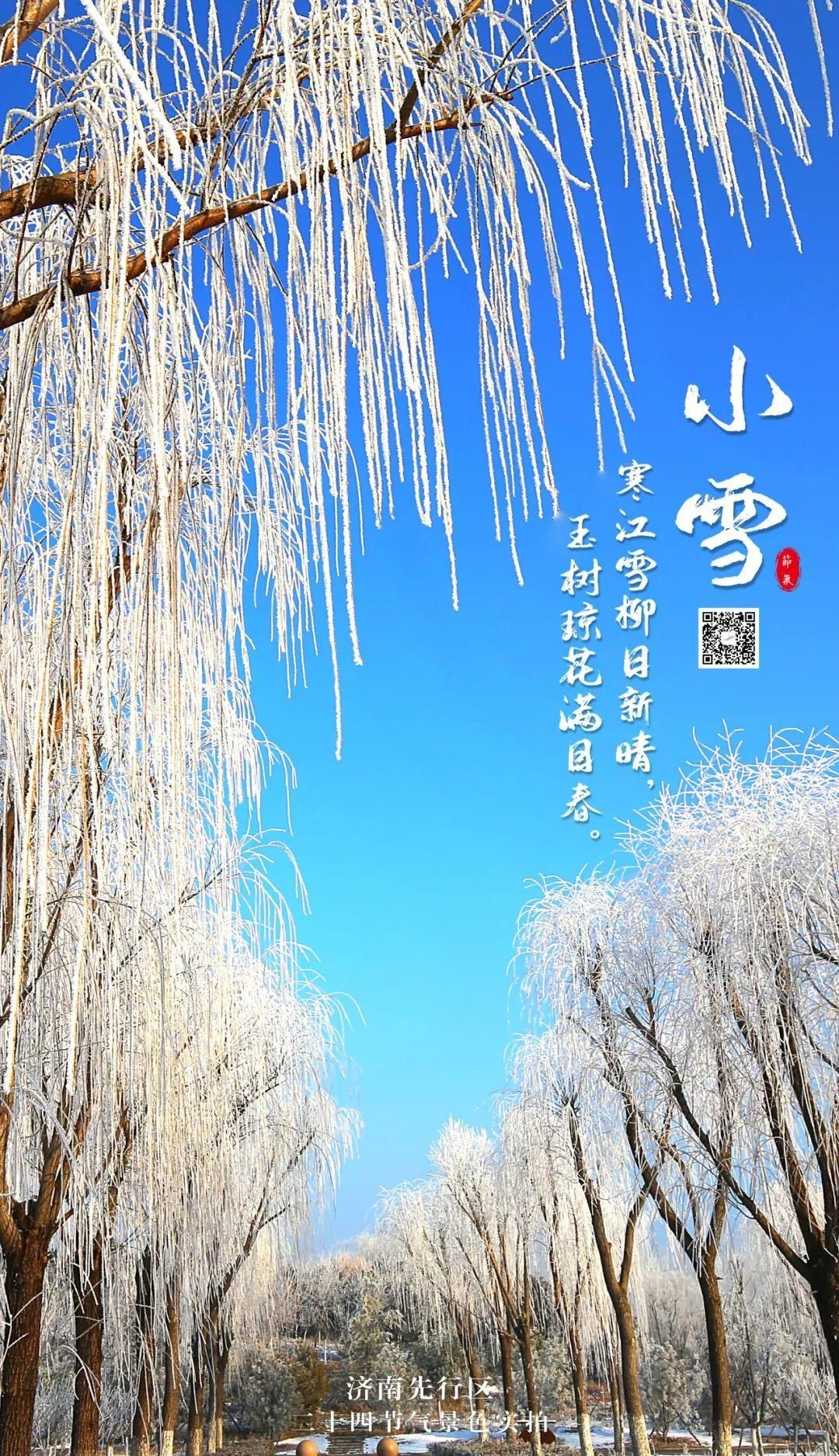  大雪|先行区二十四节气——大雪