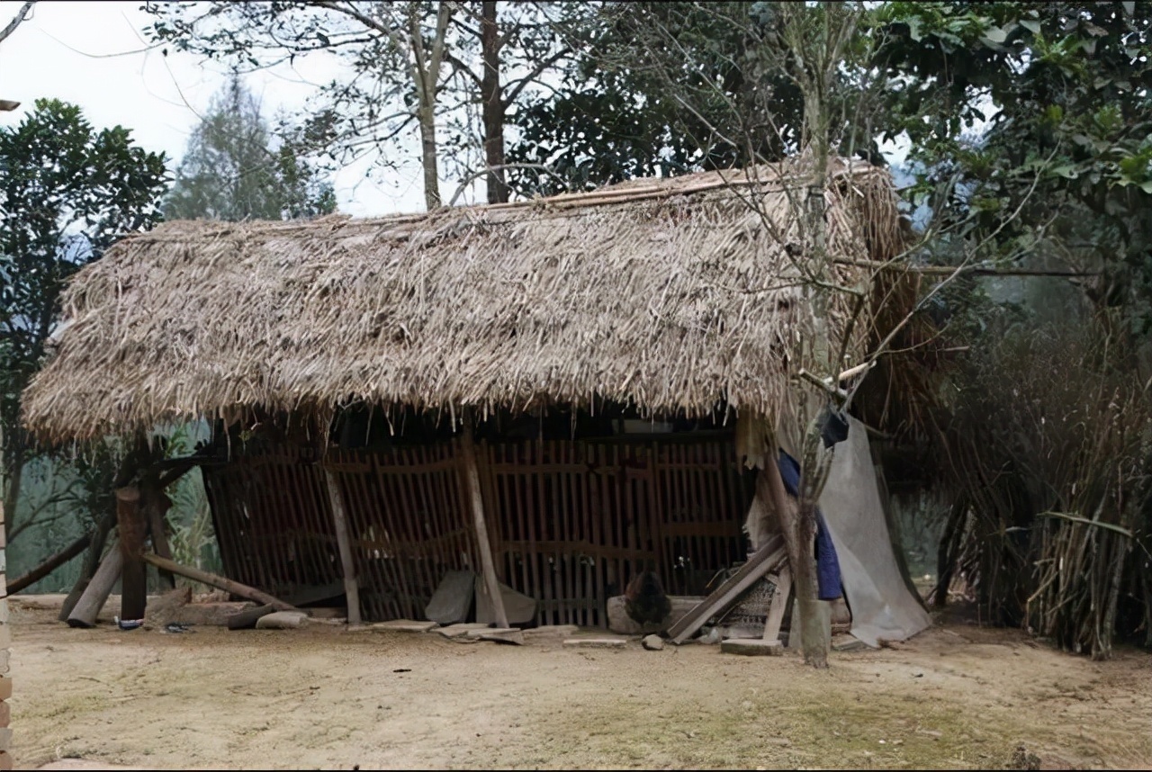 丐帮帮$有一种背大筐的乞丐,他们以贩卖乌龟肉为生,其实背后干这种坏事