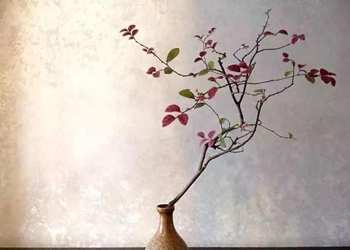 曾国藩|曾国藩七步面相术:识人才成大事必备