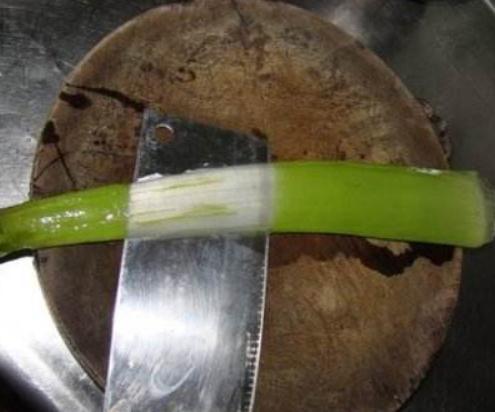 虎皮兰、君子兰”叶片蔫“喝口”激素水“，叶片油亮、花开满盆